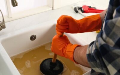 The Importance of Regular Drain Cleaning