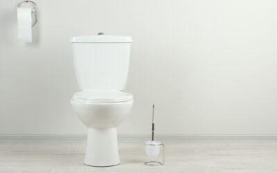 Common Toilet Problems That Require a Professional Plumber