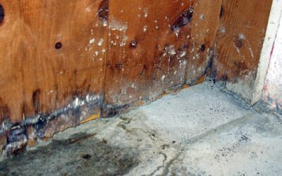 Unseen Threat: Identifying and Addressing Slab Leaks
